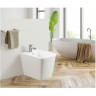 Биде напольное BELBAGNO ARDENTE-R BB003B